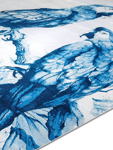 Two Parrots Porcelain Blue auf Weiß Teppich