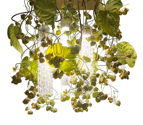 Physalis Anthurium Kronleuchter
