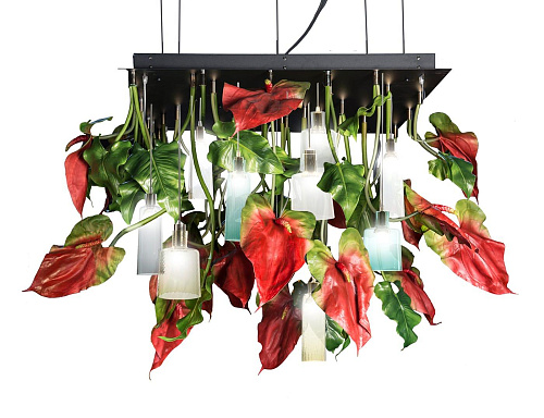 Anthurium Kronleuchter