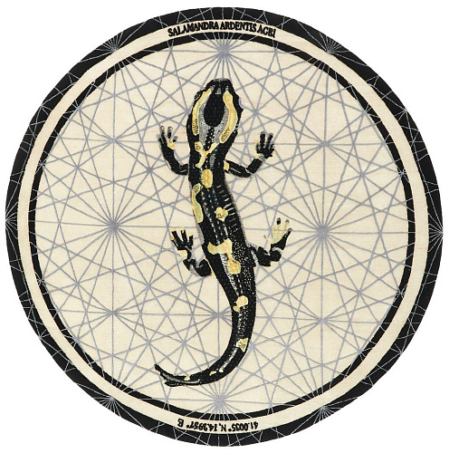 Salamandra Ardentis Agri Teppich