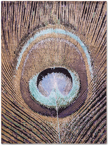 Feathers Mr Big Original auf Tiefviolett Teppich