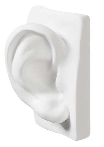 David Ear Skulptur