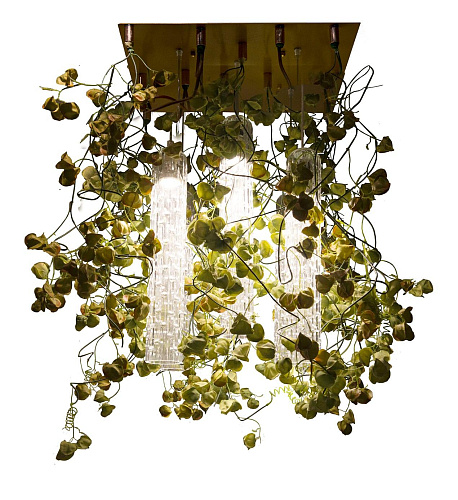 Physalis Kronleuchter