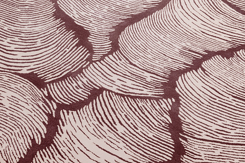 Designer Zimt Teppich