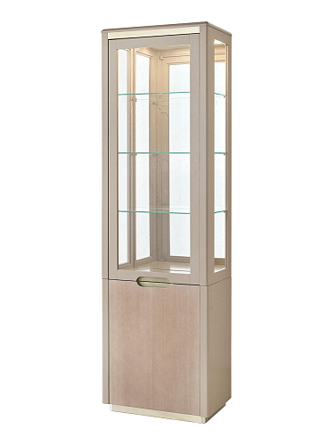 Eintüriger Vitrinenschrank