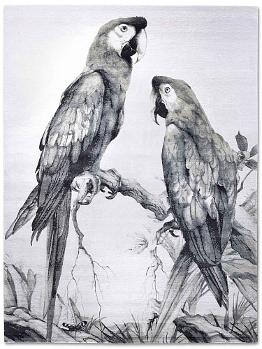 Two Parrots B&W auf Weiß Teppich