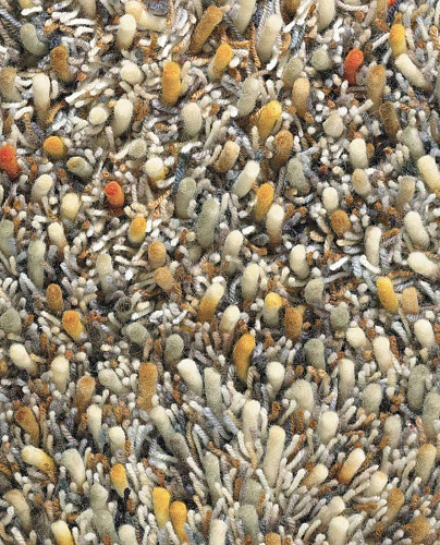 Spring 59103 Teppich