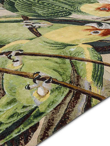 Four Parrots Original auf Doma Teppich