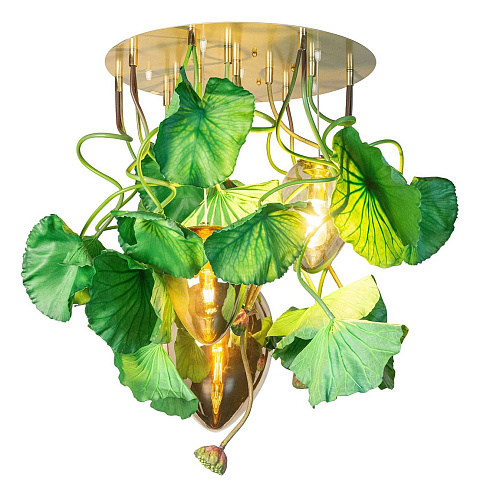 Dichondra Round Kronleuchter