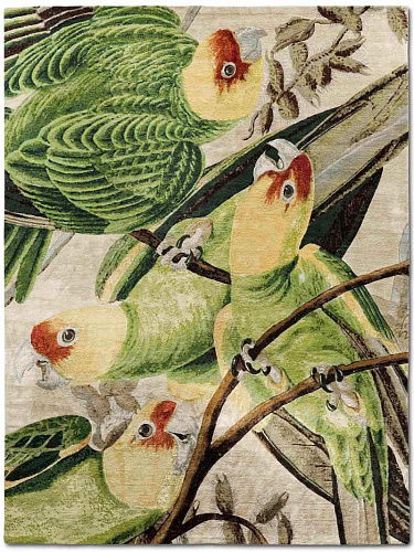 Four Parrots Original auf Doma Teppich