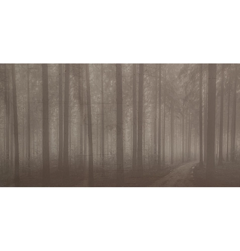 Night Forest Tapete