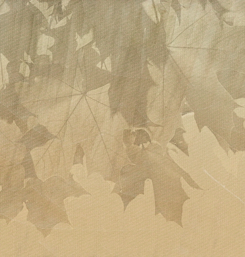 Creative Leaves Tapete