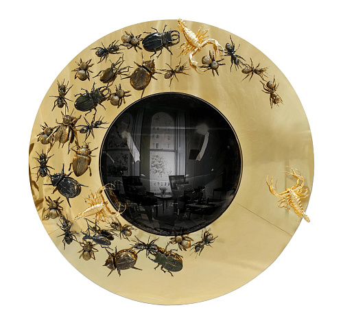 Konvexer Evolution Spiegel