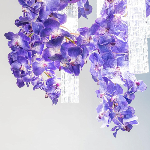 Vanda Large Kronleuchter
