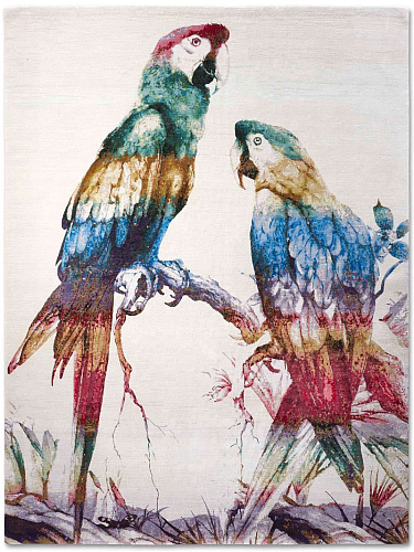 Two Parrots Rainbow auf Weiß Teppich